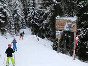 Tip voor de kleintjes  - Kinderparcours "In het spoor van de wilde dieren"