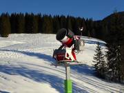 Krachtige sneeuwkanon