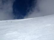 Afdaling Rendezvous Bowl