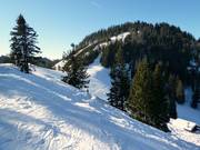 Afdaling vanaf de Unternbergalm