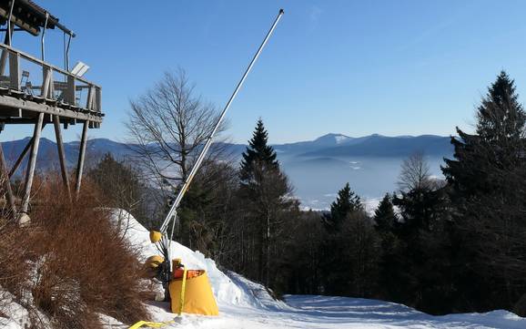 Sneeuwzekerheid Hohenbogenwinkel – Sneeuwzekerheid Hohenbogen – Neukirchen bei Hl. Blut