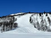 Buckelpiste S'en Nr. 33 (Geilohovda)