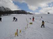 Overzicht skipiste