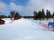 Gemakkelijke piste Levi South