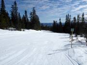 Zeer eenvoudige piste nr. 16