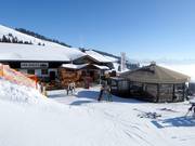 Berghutten tip Holzalm Brixen