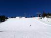 Pisteaanbod Zillertaler Alpen – Pisteaanbod Mayrhofen – Penken/Ahorn/Rastkogel/Eggalm