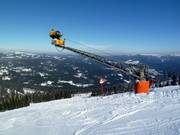 Uitgebreide besneeuwing op de Arber