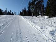 Maston Aitio - Sleeplift/babyllift