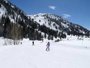 Makkelijke piste bij de stoeltjeslift Snowpine