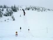 Beklimming richting Mt. Mackenzie