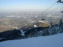 Sugarbush