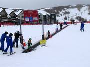 Tommy Knocker - Transportband/Moving Carpet