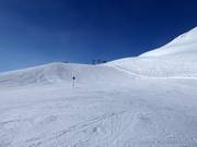 Gemakkelijke piste nr. 2 Wilder Mann