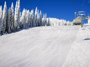 Middelzware afdaling Exhibition