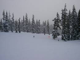 Mt. Bachelor