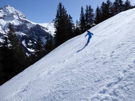 Skigebieden voor gevorderden en off-piste skiërs Simmental – Gevorderden, off-piste skiërs Adelboden/Lenk – Chuenisbärgli/Silleren/Hahnenmoos/Metsch