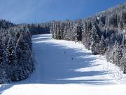 Zwarte Europacup-afdaling