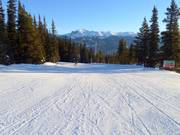 Gemakkelijke piste Home Run