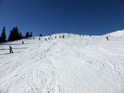 Gemakkelijke piste Breiteck