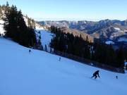 Zwarte Ochsenboden-Direkt