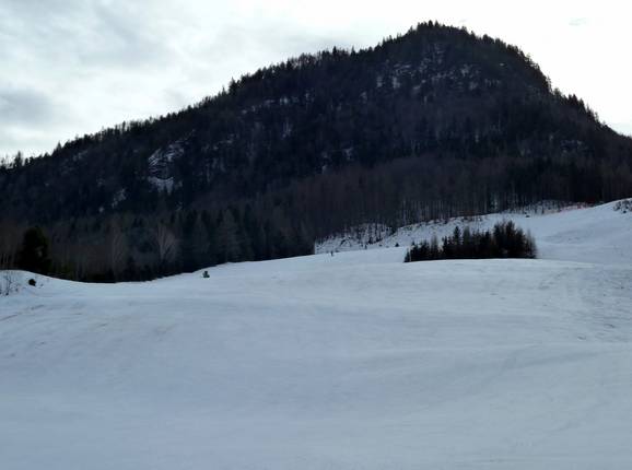 Uitzicht op de skipiste bij de Lärchenhof