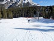 Gemakkelijke piste bij de Cascade stoeltjeslift