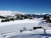 Sneeuwbekken bij de Penken