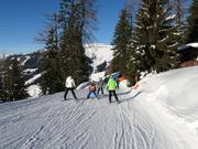 Familieafdaling Brandlalm