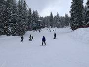 Gemakkelijke piste bij de stoeltjeslift Explorer