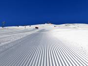 Perfecte pistepreparatie