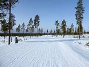 Zeer eenvoudige piste in het skigebied Idre Himmelfjäll