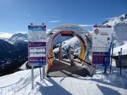 Adrenalin Cup Sölden - Adrenalin Freeride