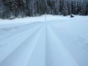 Perfecte loipesporen