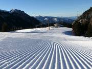 Perfecte piste in Latemar