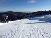 Middelzware familieafdaling nr. 7