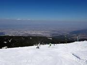 Piste Laleto lesna 3