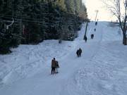 Elektrolift (Lift 3) - Sleeplift met T-beugel/Ankerlift