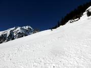 Zwarte dalafdaling Steinibach