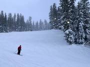 Nachtskigebied Brighton