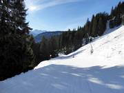 Dalafdaling naar Bolsterlang