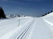 Langlaufloipes bij het bergstation Danusa