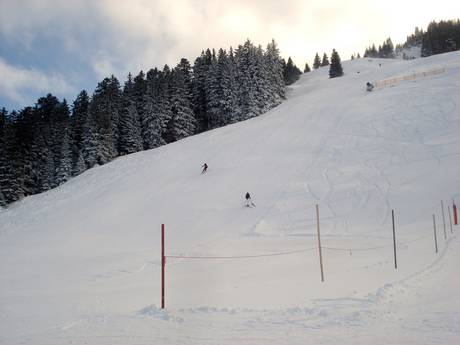 Skigebieden voor gevorderden en off-piste skiërs Tannheimer Tal – Gevorderden, off-piste skiërs Jungholz