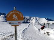 Tip voor de kleintjes 