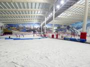 Uitzicht vanaf het beginnersgebied op de hoofdafdaling