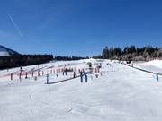 Tip voor de kleintjes  - ArBär-Kinderland