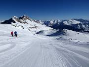 Pistes op de Dachberg