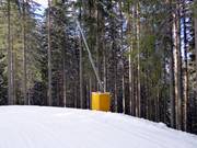 Lanzenbesneeuwing op de Alpe Cermis