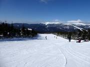 Gemakkelijke piste Turistická