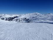 Gemakkelijke piste Gensbichlalm-Braunkogel